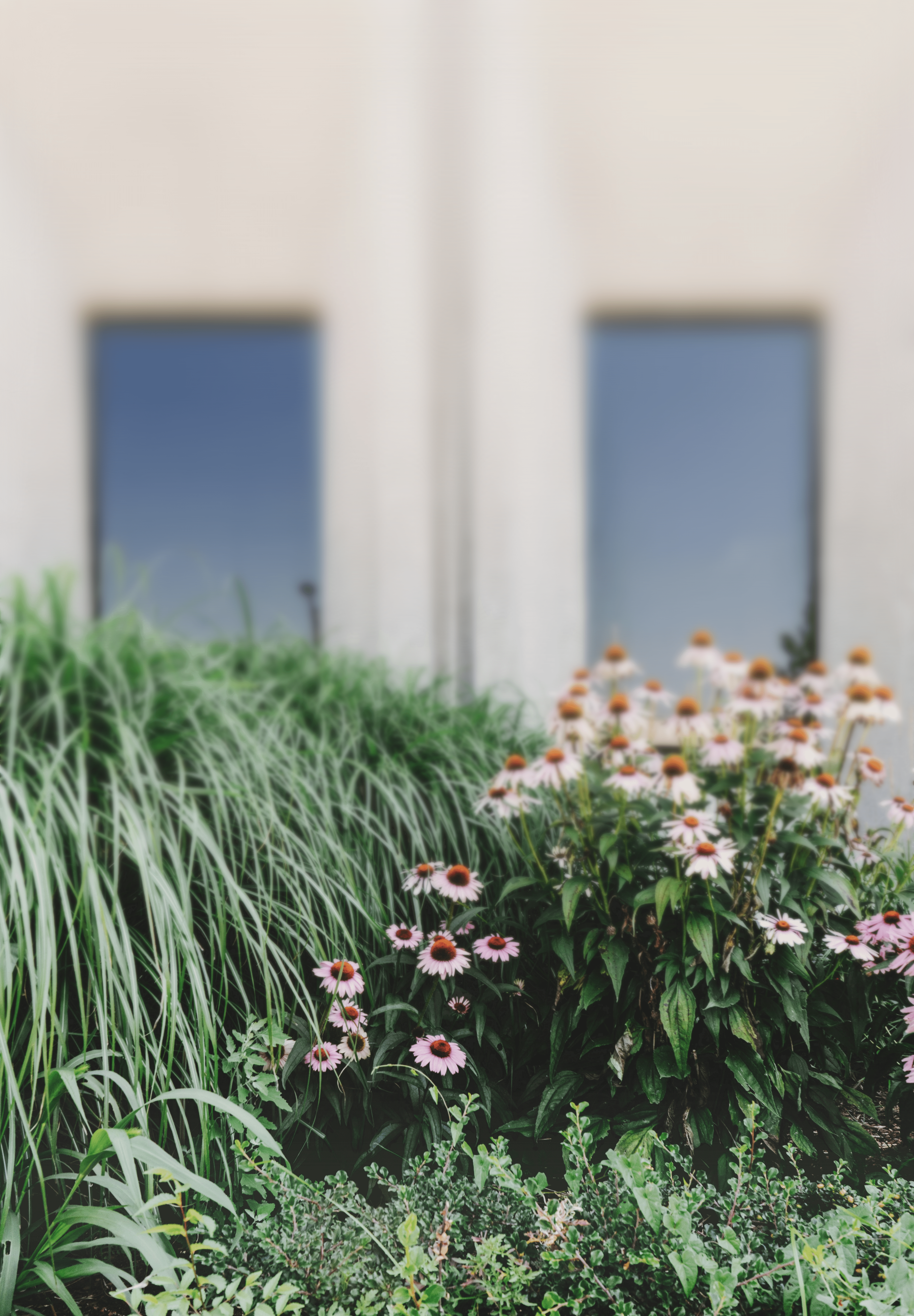 Detail van een aanplanting door MGardens